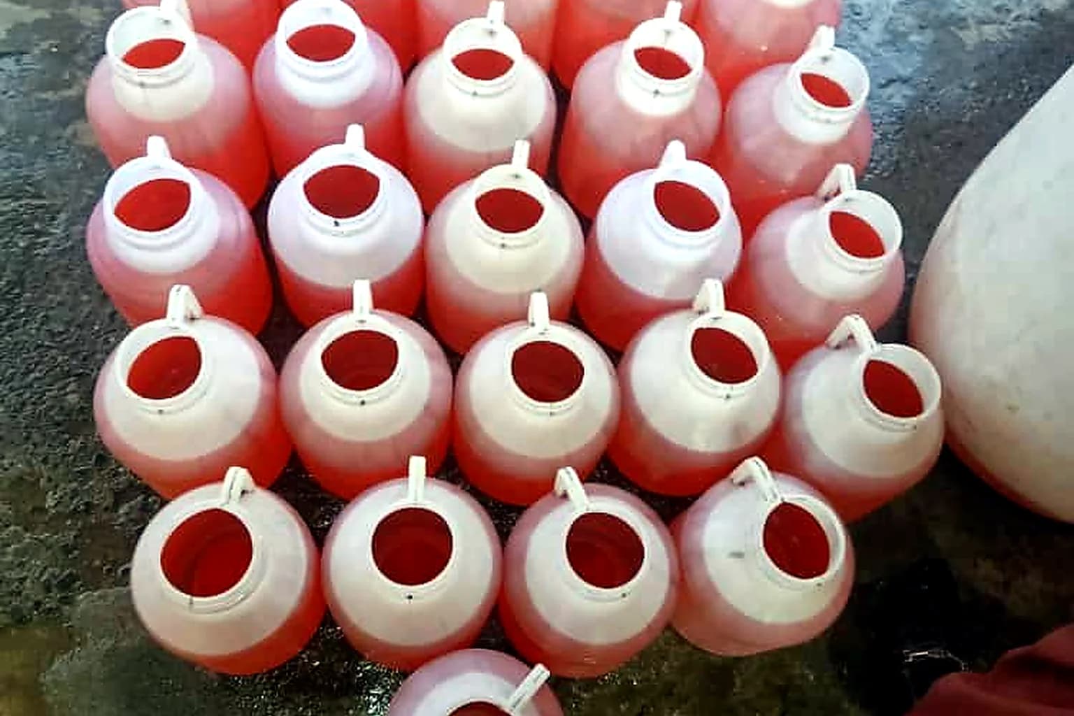 Bottled drinks prepared for foundation meal distribution